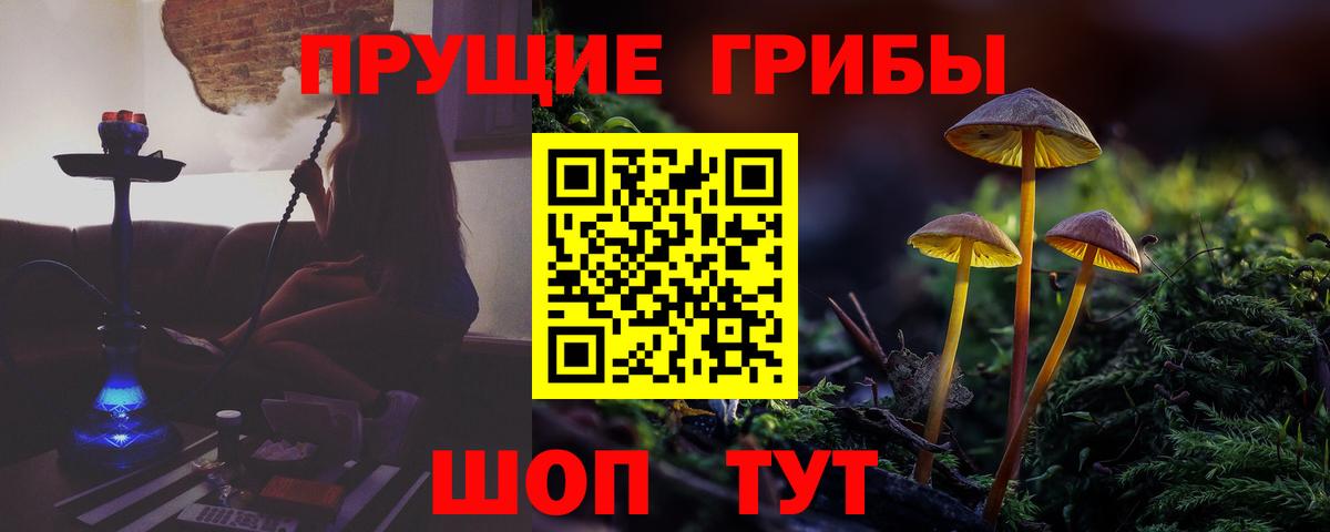 Псилоцибиновые грибы Cubensis Михайловск