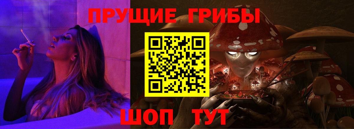 Галлюциногенные грибы Psilocybine cubensis  Галлюциногенные грибы Cubensis  Михайловск  Вход с VPN 